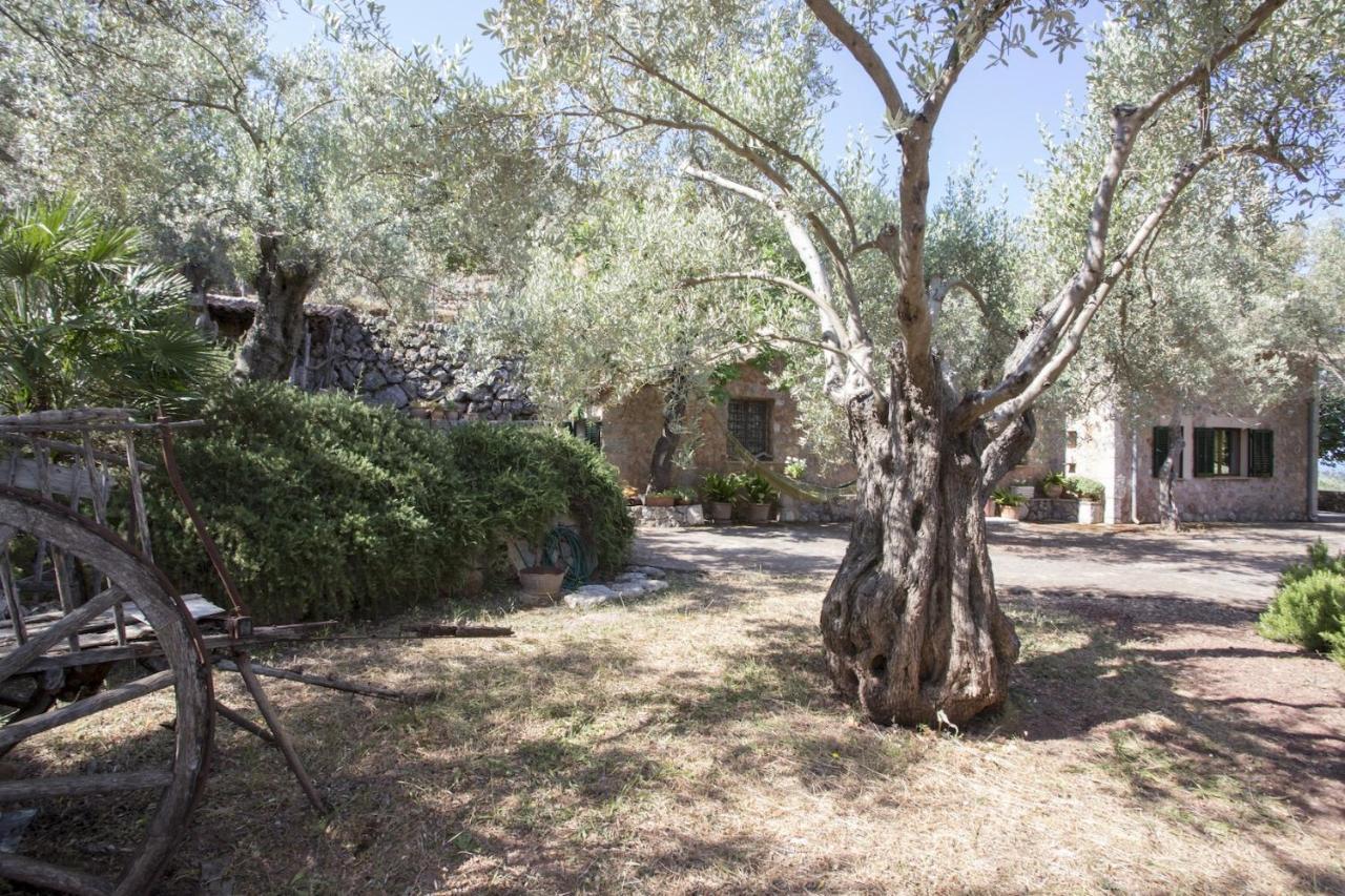 Villa Es Coco, Soller Puerto de Sóller Екстериор снимка