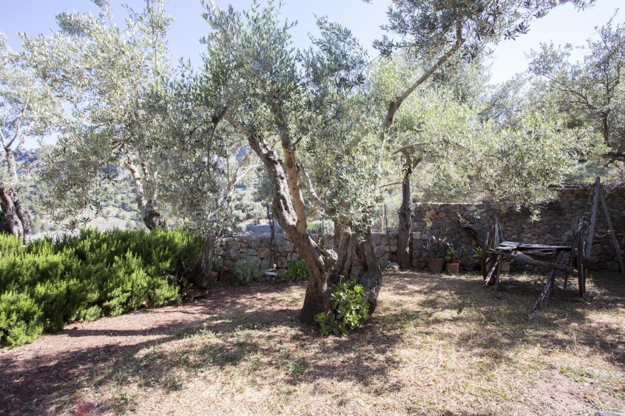 Villa Es Coco, Soller Puerto de Sóller Екстериор снимка