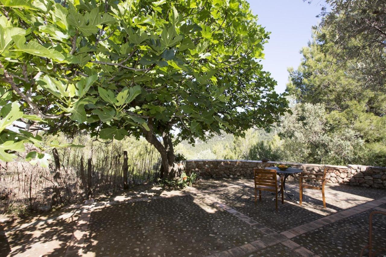 Villa Es Coco, Soller Puerto de Sóller Екстериор снимка