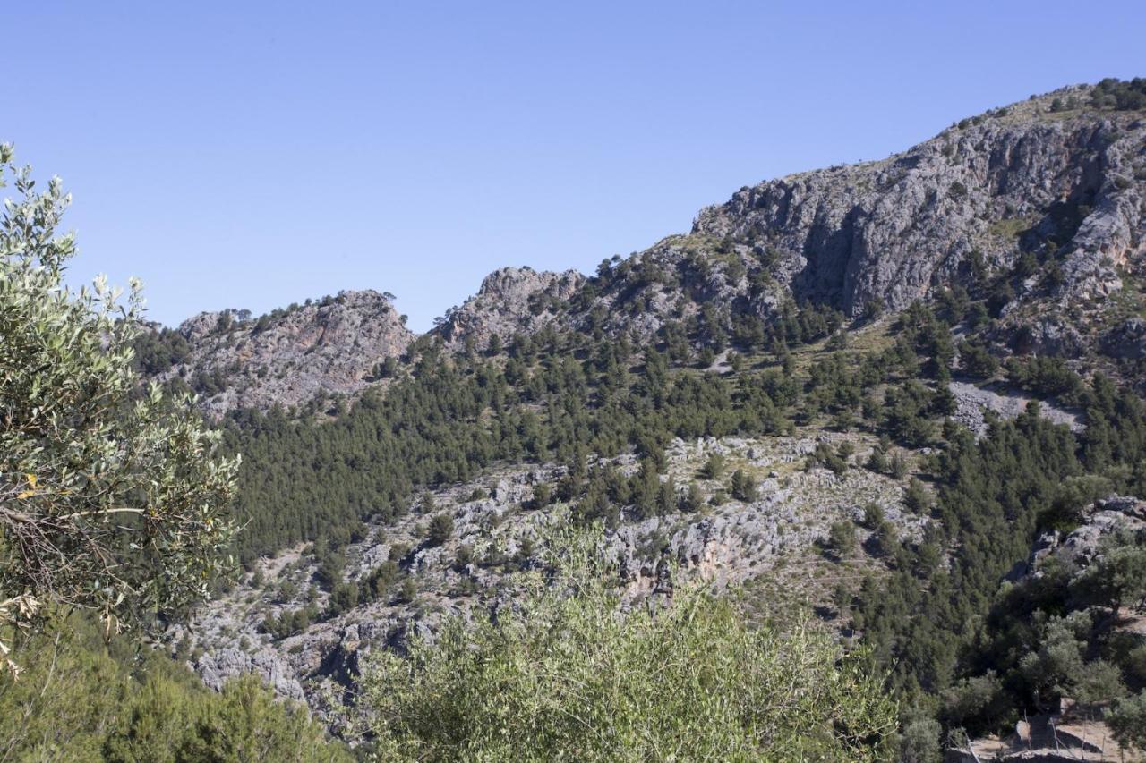 Villa Es Coco, Soller Puerto de Sóller Екстериор снимка